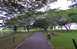 Pasir Ris Beach Park (D18), Semi-Detached #496242181